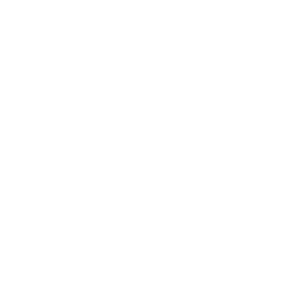 Logo BRaVO